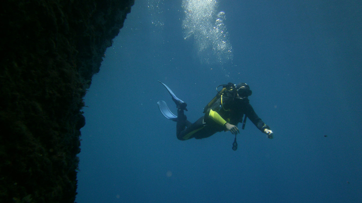Open water diver elearning/touch * scuba dive Venus Diving Center